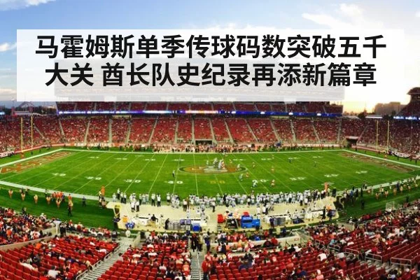 NFL football stadium action